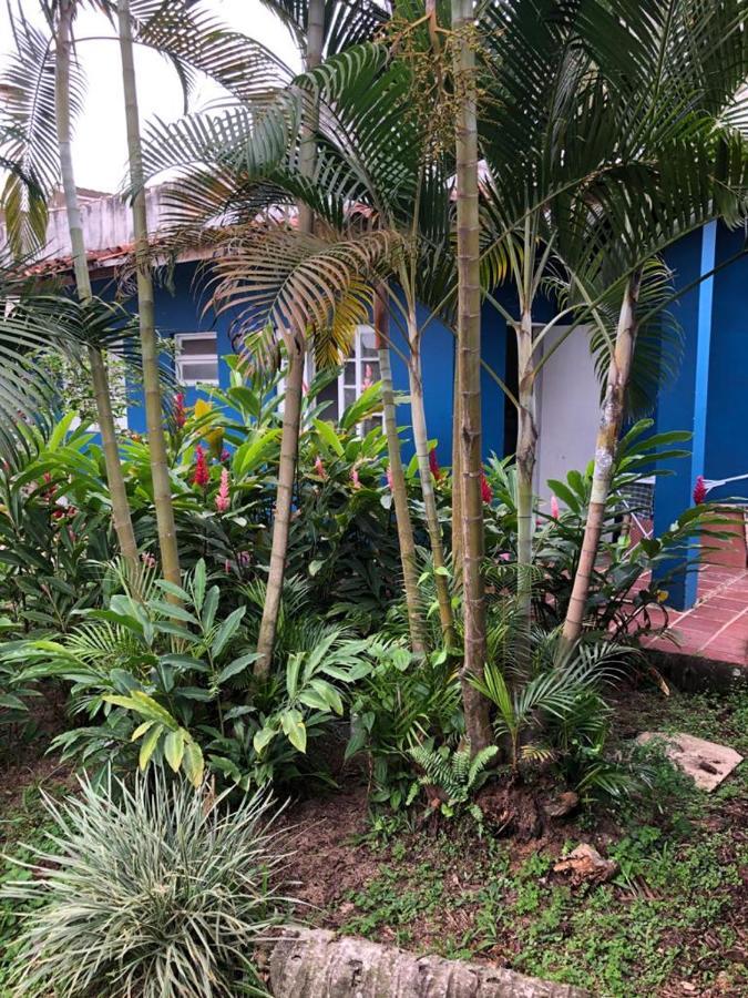 4 Elementos - 200 Metros Da De Pernambuco E Do Mar Casado 旅馆